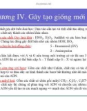 Bài giảng giống cây rừng : Gây tạo giống mới part 4