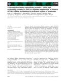 Báo cáo khoa học: Transcription factor speciﬁcity protein 1 (SP1) and activating protein 2a (AP-2a) regulate expression of human KCTD10 gene by binding to proximal region of promoter