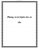 Phòng và trị bệnh cho cá sấu