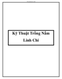 Các kỹ Thuật Trồng Nấm Linh Chi