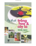 Kỹ thuật trồng hoa và cây lá trong nước