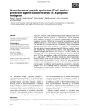 Báo cáo khoa học: A nonribosomal peptide synthetase (Pes1) confers protection against oxidative stress in Aspergillus fumigatus