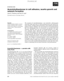 Báo cáo khoa học: Acetylcholinesterase in cell adhesion, neurite growth and network formation