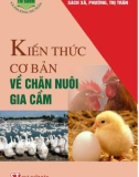 Những kiến thức hữu ích về chăn nuôi gia cầm: Phần 1