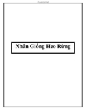 Nhân Giống Heo Rừng