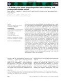 Báo cáo khoa học: a-1 Antitrypsin binds preprohepcidin intracellularly and prohepcidin in the serum