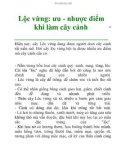 Lộc vừng: ưu - nhược điểm khi làm cây cảnh