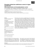 Báo cáo khoa học: Principles behind the multifarious control of signal transduction ERK phosphorylation and kinase/phosphatase control