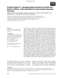 Báo cáo khoa học: Protein kinase C e phosphorylates keratin 8 at Ser8 and Ser23 in GH4C1 cells stimulated by thyrotropin-releasing hormone