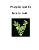 Phòng trị bệnh bù lạch hại xoài