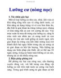 Lưỡng cư (nòng nọc)