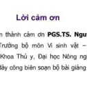 Bài giảng Vi khuẩn học thú y: Họ vi khuẩn đường ruột - PGS.TS. Nguyễn Bá Hiên