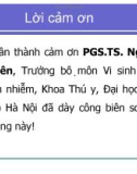 Bài giảng Vi khuẩn học thú y: Vi khuẩn học chuyên khoa - PGS.TS. Nguyễn Bá Hiên