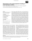 Báo cáo khoa học: Determinants of the nucleocytoplasmic shuttling of muscle glycogen synthase