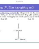 Bài giảng giống cây rừng : Gây tạo giống mới part 2