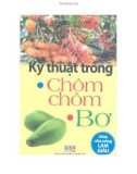 Kinh nghiệm trồng chôm chôm, bơ: Phần 1