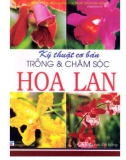 Hướng dẫn cách trồng và chăm sóc hoa lan: Phần 1