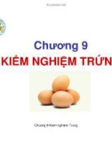 Chương 9: Kiểm nghiệm trứng