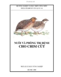 Kỹ thuật nuôi và phòng trị bệnh cho chim cút