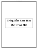 Trồng Nấm Rơm Theo Quy Trình Mới