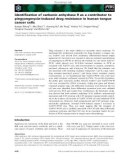 Báo cáo khoa học: Identiﬁcation of carbonic anhydrase 9 as a contributor to pingyangmycin-induced drug resistance in human tongue cancer cells