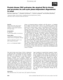 Báo cáo khoa học: Protein kinase CK2 activates the atypical Rio1p kinase and promotes its cell-cycle phase-dependent degradation in yeast