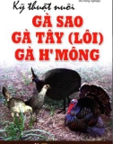 Gà sao, gà tây (Lôi), gà H'Mông - Kỹ thuật chăn nuôi