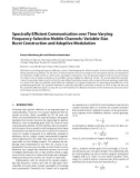 Báo cáo hóa học: Spectrally Efﬁcient Communication over Time-Varying Frequency-Selective Mobile Channels: Variable-Size Burst Construction and Adaptive Modulation