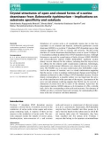 Báo cáo khoa học: Crystal structures of open and closed forms of D-serine deaminase from Salmonella typhimurium – implications on substrate speciﬁcity and catalysis