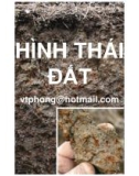 Bài giảng Thổ nhưỡng: Chương Hình thái đất - Võ Thanh Phong