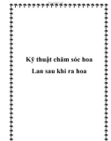 Kỹ thuật chăm sóc hoa Lan sau khi ra hoa