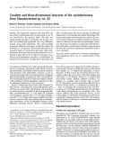 Báo cáo khoa học: Covalent and three-dimensional structure of the cyclodextrinase from Flavobacterium sp. no. 92