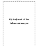 Kỹ thuật nuôi cá Tra thâm canh trong ao