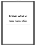 Kỹ thuật nuôi cá tai tượng thương phẩm