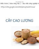 Bài giảng Cây cao lương