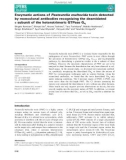 Báo cáo khoa học: Enzymatic actions of Pasteurella multocida toxin detected by monoclonal antibodies recognizing the deamidated a subunit of the heterotrimeric GTPase Gq