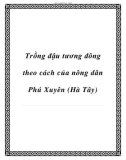 Trồng đậu tương đông theo cách của nông dân Phú Xuyên (Hà Tây)