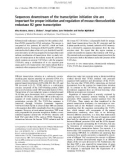 Báo cáo khoa học: Sequences downstream of the transcription initiation site are important for proper initiation and regulation of mouse ribonucleotide reductase R2 gene transcription