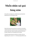 Muốn nhãn sai quả hàng năm