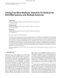 Báo cáo hóa học: Timing-Free Blind Multiuser Detection for Multicarrier DS/CDMA Systems with Multiple Antennae