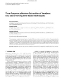 Báo cáo hóa học: Time-Frequency Feature Extraction of Newborn EEG Seizure Using SVD-Based Techniques