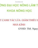 Bài thuyết trình Kỹ thuật canh tác lúa giảm thiểu hiệu ứng nhà kính