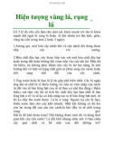 Hiện tượng vàng lá, rụng lá