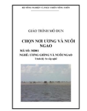 Giáo trình Chọn nơi ương và nuôi ngao - MĐ01: Ương giống và nuôi ngao