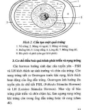 Ấp trứng gia cầm bằng phương pháp thủ công cổ truyền có cải tiến part 2