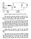 Ấp trứng gia cầm bằng phương pháp thủ công và công nghiệp part 7