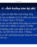 Bệnh học thủy sản : Bệnh do virus part 6