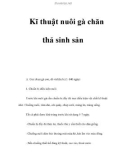 Kĩ thuật nuôi gà chăn thả sinh sản