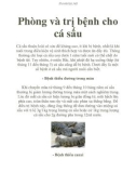 Phòng và trị bệnh cho cá sấu