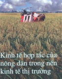 Nền kinh tế thị trường - Kinh tế hợp tác của nông dân: Phần 1